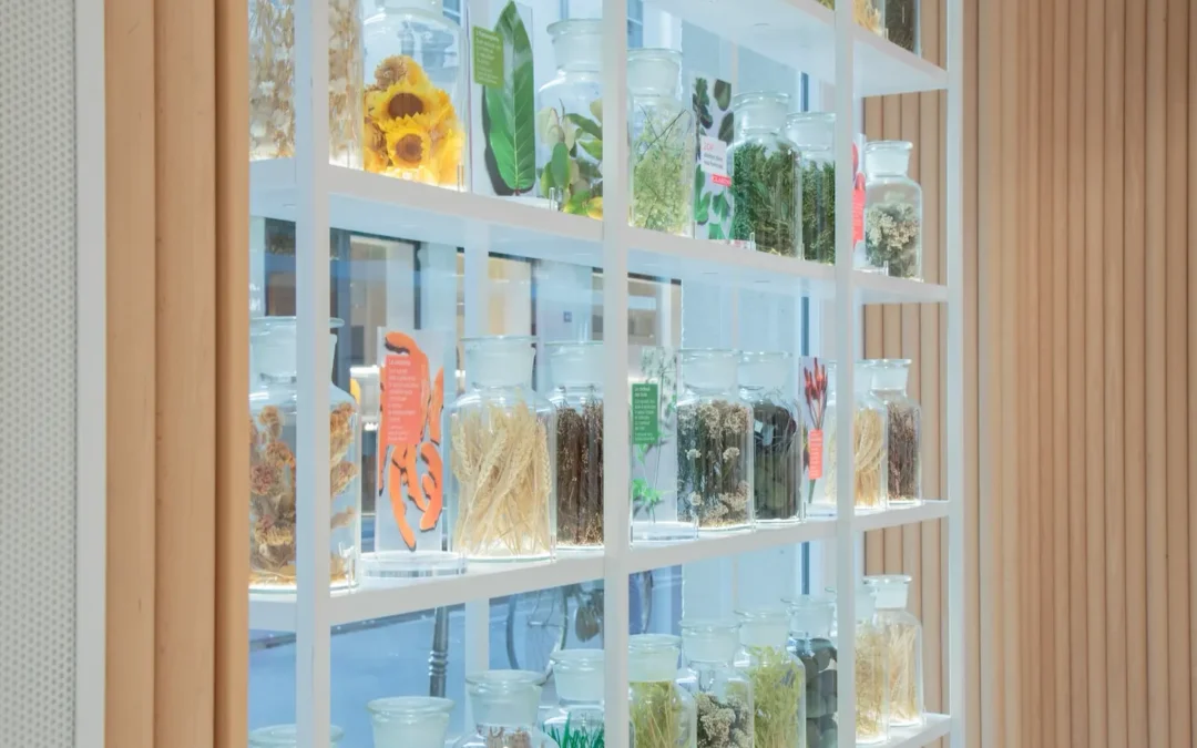 Clarins – créer la nouvelle brand experience