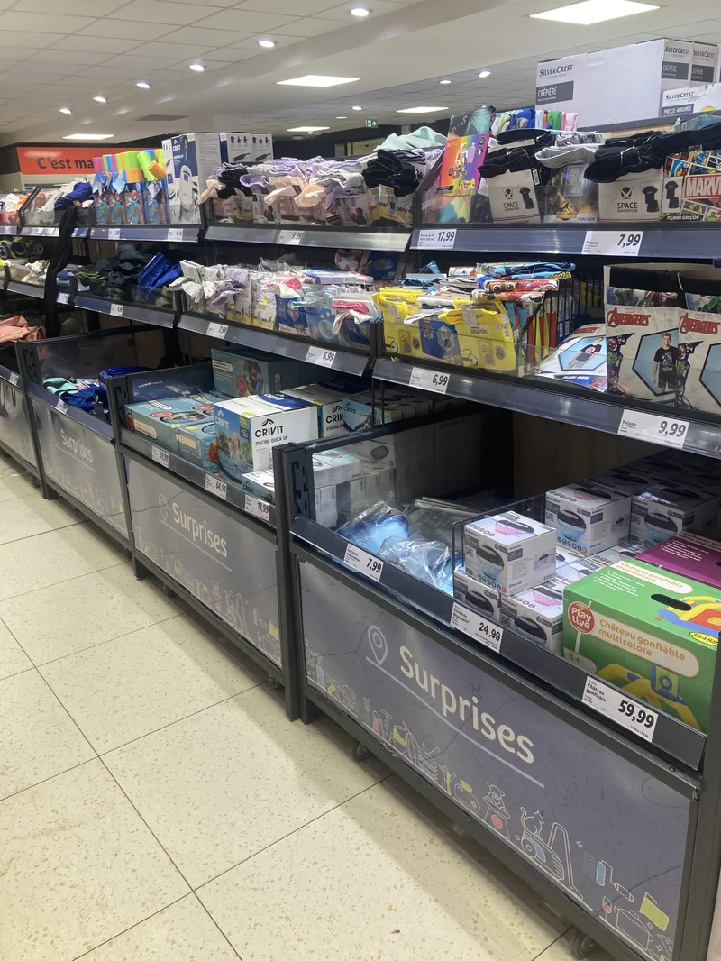 Pourquoi Revenir ? 1 Bacs du bazar Lidl portant l'inscription Surprises